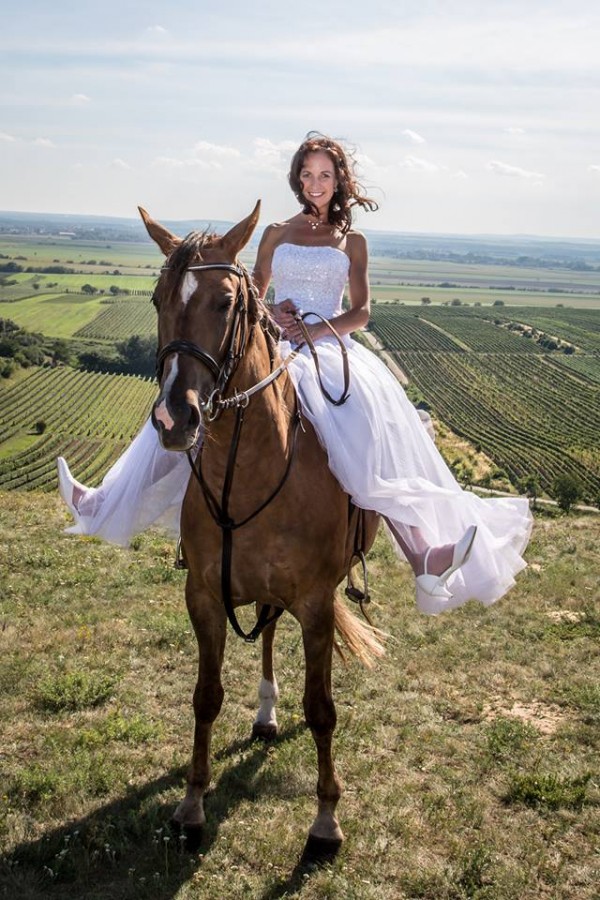 koně a svatba